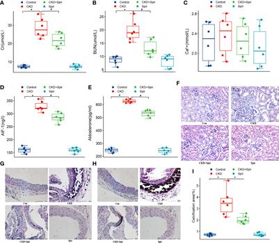 The Role of AIF-1 in the Aldosterone-Induced Vascular Calcification Related to Chronic Kidney Disease: Evidence From Mice Model and Cell Co-Culture Model